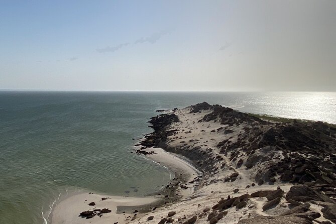 Catamaran Trip in the Big Bay of Dakhla - Inclusions and Services Provided
