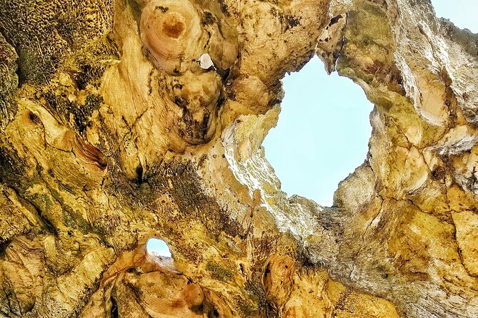 Cave Day Tour From San Juan - Positive Reviews