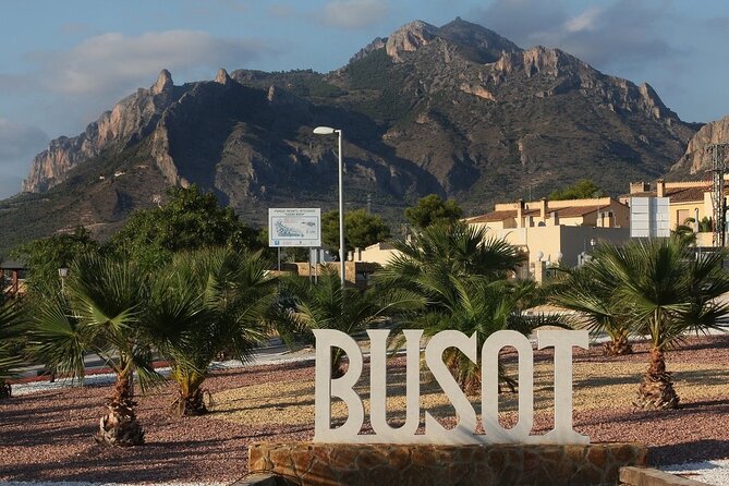 Caves and Nougat Around Alicante in a Private Tour Led by a Professional Guide. - Expert Guide