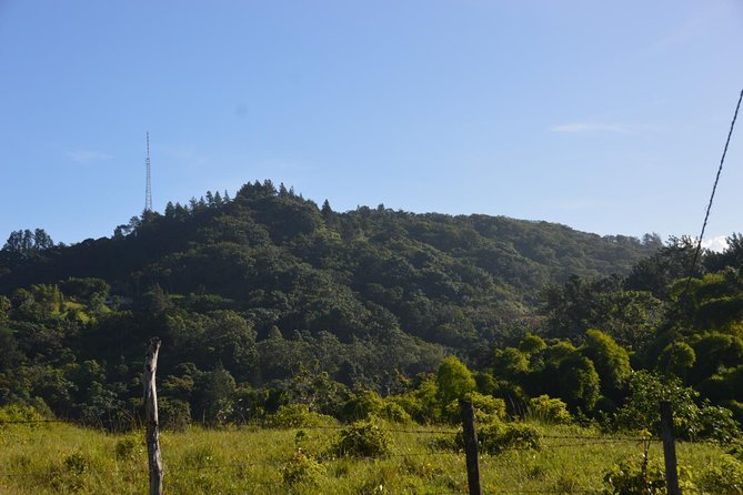 Center of Puerto Rico Day Tour. a True Cultural Experience - Tour Guide Qualities