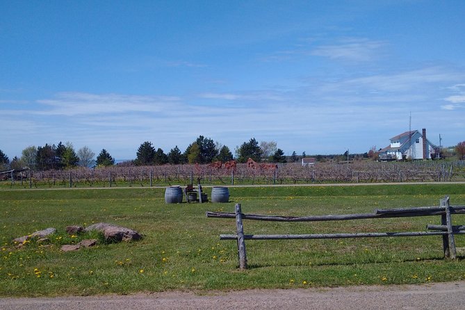 Central PEI Winery, Brewery, and Distillery Tasting Tour DE' Force - Tour Highlights