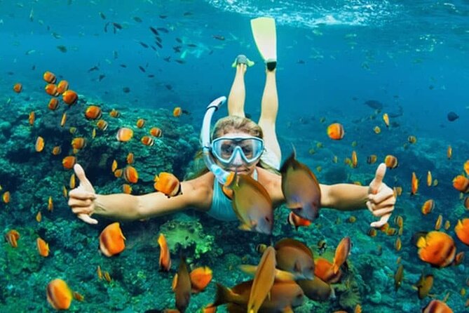 Cham Island Daily Tour - Snorkeling Experience - Transportation and Traveler Recommendations