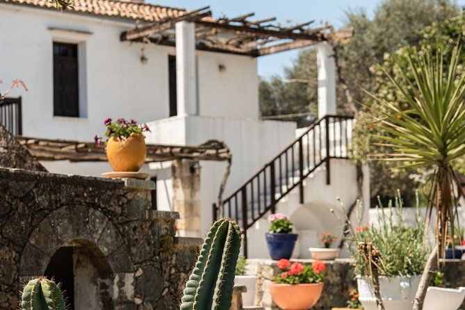 Chania Luxury Jeep Safaris: Secrets of Wine & Olive Oil Tastings - Wine Tasting at Local Vineyards
