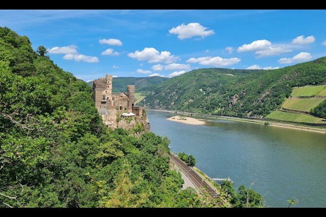 Charming Rhein Castle Visit & Tasting Wine Along the Rhein - Wine Tasting Experience