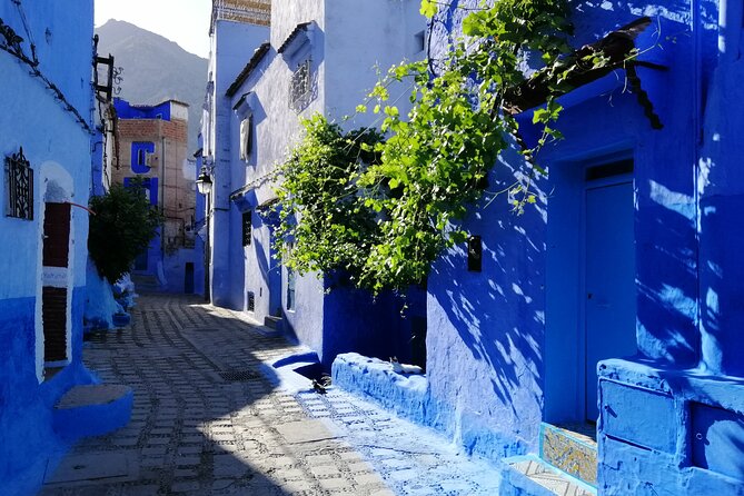 Chefchaouen Private Full Day Excursion & Panoramic of Tangier - Customer Satisfaction and Appreciation
