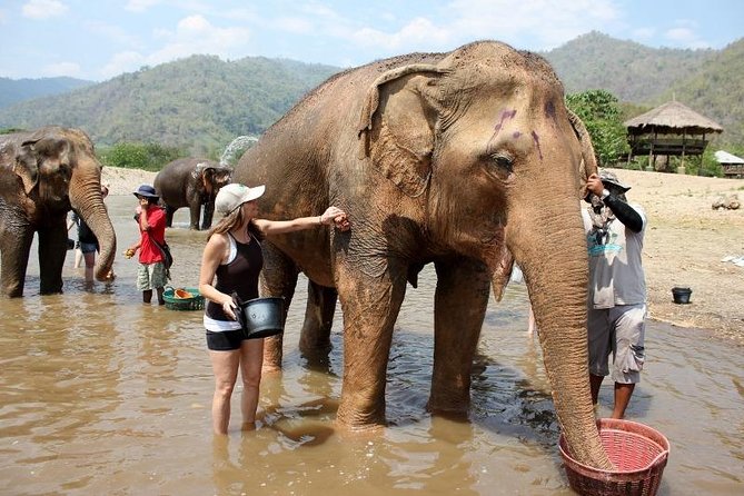 Chiang Mai: 3-Day Jungle Trek With Karen Hill Tribe Stay - Cancellation Policy