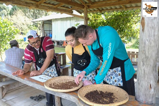 Chiang Mai Coffee Tour: Trekking to Farm, Roast and Brew Workshop - Learn the Art of Coffee Roasting