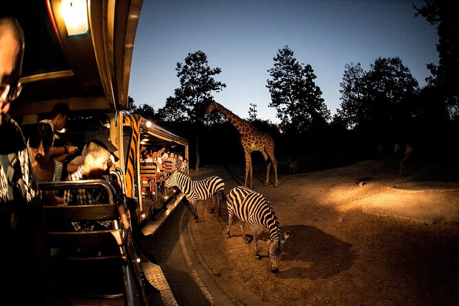 Chiang Mai Night Safari Ticket - Traveler Photos