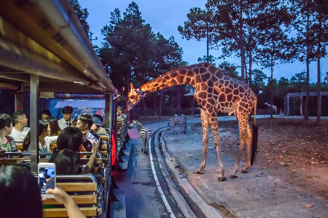 Chiangmai Night Safari Tour - Highlights of the Night Safari Experience