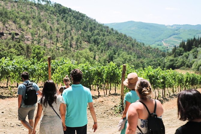 Chianti Wine Tour From Florence - Positive Feedback and Memorable Experiences