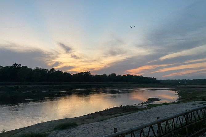 Chitwan Jungle Safari With Overnight Stay - Wildlife Experiences in Chitwan National Park
