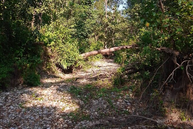 Chitwan National Park Bird Watching Untouched Side From Madi - Experience and Activities
