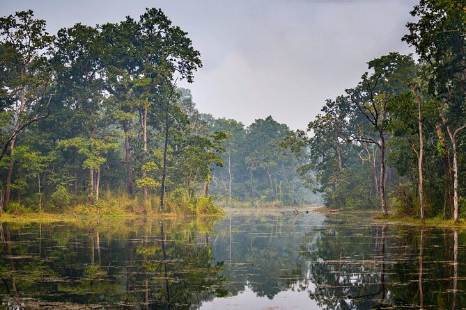 Chitwan National Park Pvt. Jeep Safari Untouched Side From Madi - What to Expect