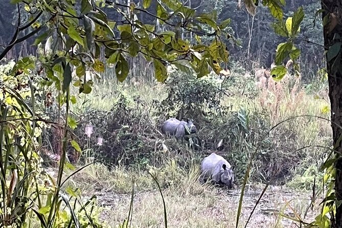 Chitwan National Park Unique Activities From Untouched Side Madi - Exclusive Experiences: Unveiling Madis Charm in Chitwan National Park