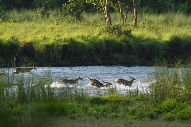 Chitwan Tour Packages - Customer Support