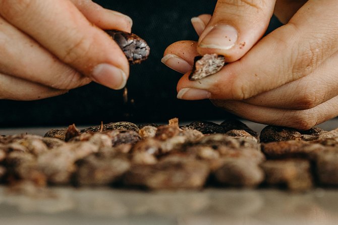 Chocolate Master Class - Perfect Activity for Travelers With Limited Time