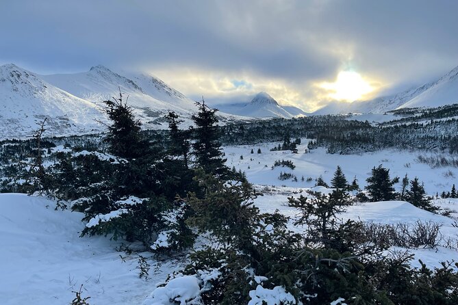 Chugach State Park Easy Snowshoeing Adventure  - Anchorage - Meeting Point and Transportation