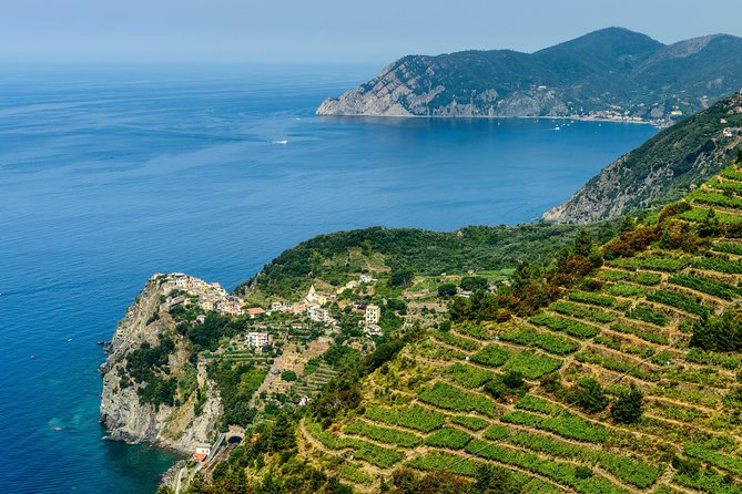 Cinqueterre and Pisa Shore Excursion From Livorno - Reviews and Customer Experience