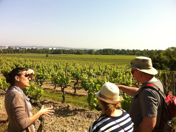 Cité De Carcassonne and Wine Tasting Private Day Tour From Toulouse - Exploring Carcassonnes Medieval Village