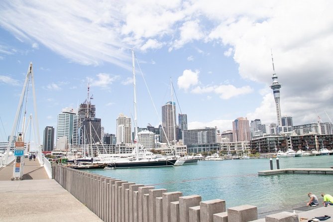 City to City Transfers (Auckland - Rotorua) - Booking and Availability