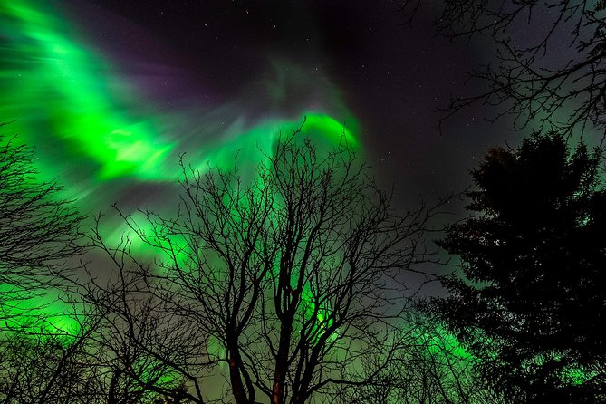 Classic Northern Lights Tour From Reykjavik With Live Guide and Touch-Screen Audio Guide - Tour Details