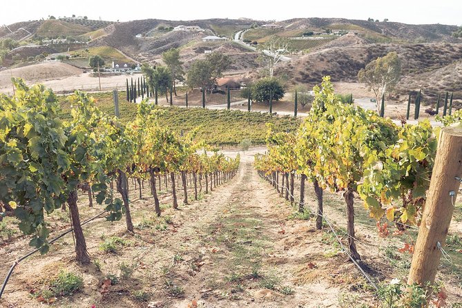 Classic Wine Adventure of Temecula Valley Afternoon Tour - Sample Menu
