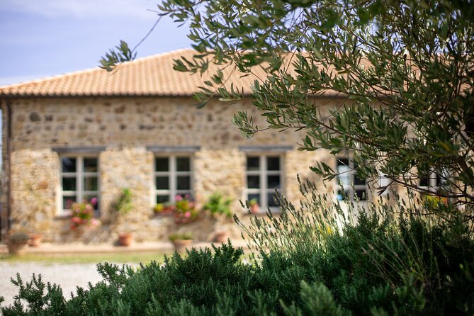 Classic Wine Tasting in Montalcino - Experience Overview