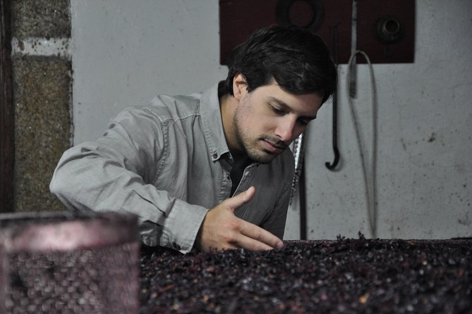 Classic Wine Tasting With GUIDED TOUR - Meeting and Pickup Information