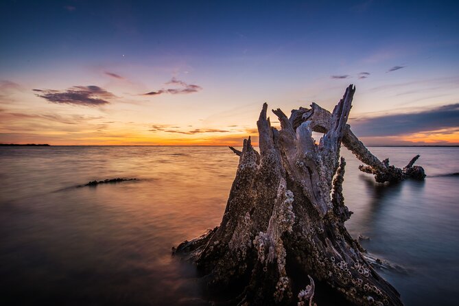 Clear Kayak Guided Kayak Tours in Titusville - Inclusions