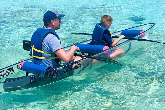 Clear Kayak Tour of Mangroves in Turks and Caicos  - Providenciales - Wildlife Encounters