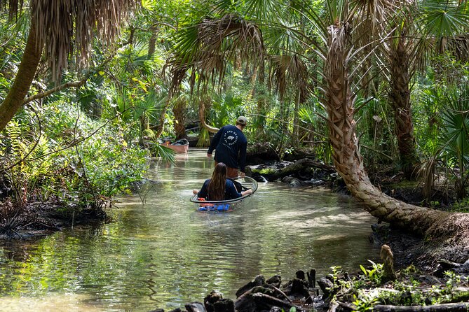 Clear Kayak Tours on Chassahowitzka River - Tour Highlights