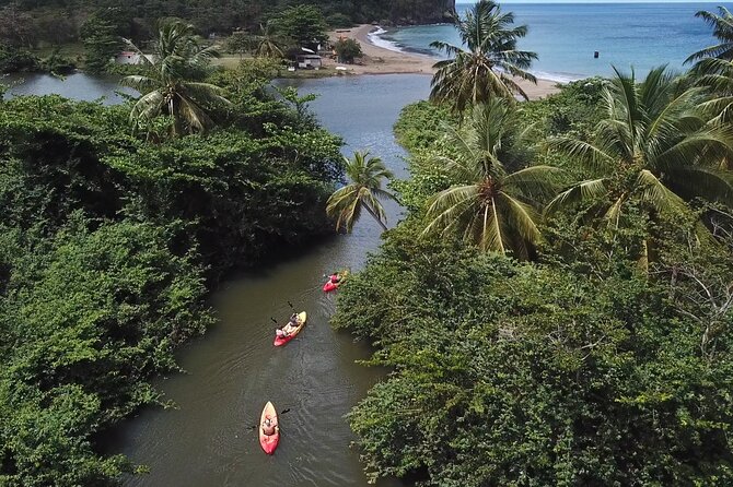 Coastal and River Kayaking Adventure at Marigot Bay - Additional Information and Requirements