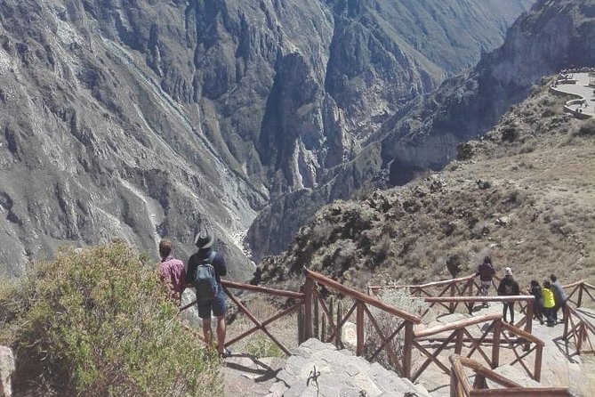 Colca Canyon Sightseeing Tour 2D1N and Transfer to Puno - Day 1: Vicuña Reserve and Andes Viewpoint