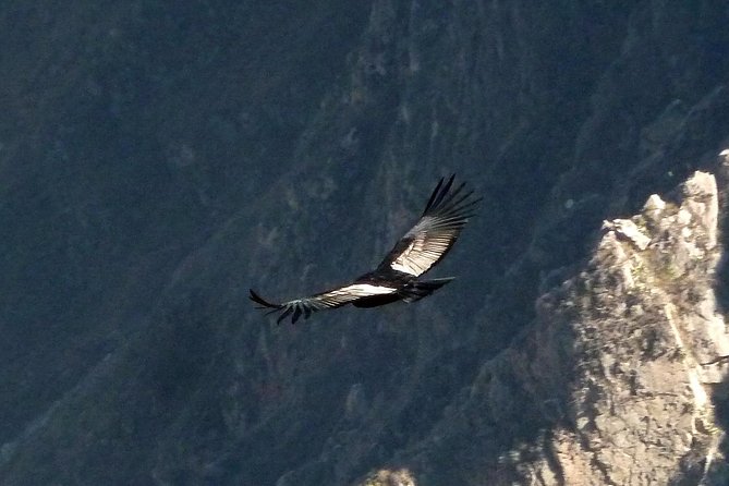 Colca Trek - 2 Days Tour - Traveler Reviews