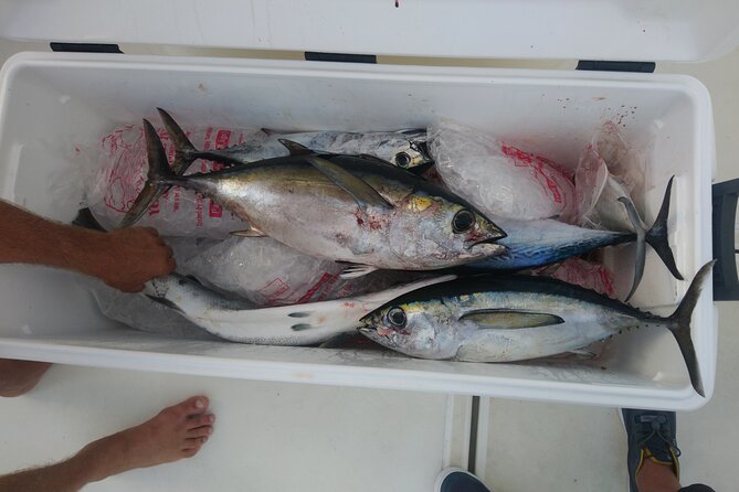 Cole Bay Private Half-Day Deep-Sea Fishing Tour  - St Maarten - Departure and Return Details
