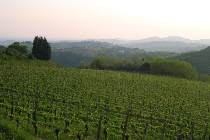 Collio: Cividale Del Friuli and Wine Tastings From Trieste - Hassle-Free Transportation Options