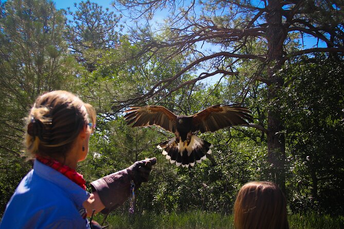 Colorado Springs Hands-On Falconry Class and Demonstration - Inclusions
