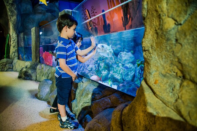 Combi Ticket: LEGOLAND Discovery Centre & SEA LIFE Oberhausen - Attractions Included