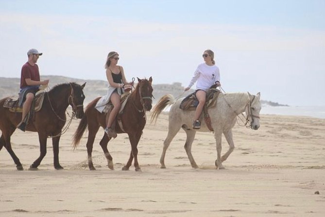 Combo Double Atv Horses - Inclusions