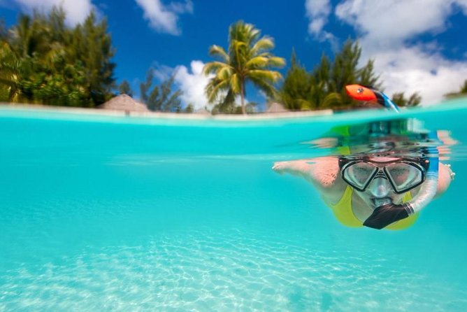 Coral Island Half-Day Tour From Pattaya With Lunch - Timing and Meeting Points