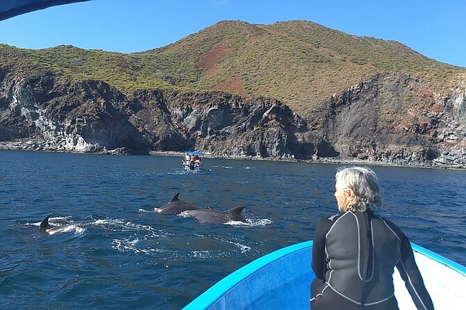 Coronado Island Adventure, Snorkeling & Picnic on the Beach - Cancellation Policy: Refunds and Changes