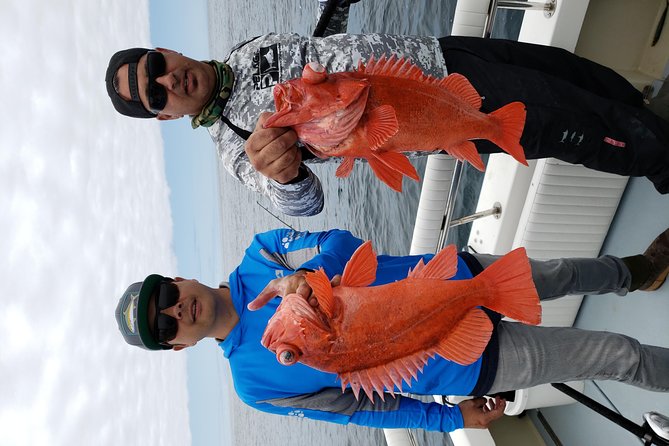 Coronado Islands 12 Hour Fishing Trip for up to 4 People - Price and Booking