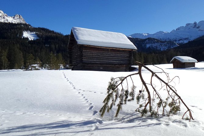 Cortina Dolomites - Winter Hiking & Sledding Experience for All - Tips and Additional Information for a Successful Winter Hiking Experience