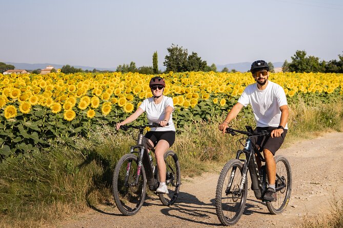 Cortona - Ebike Tour and Wine Tasting in the Val Di Chiana [40] - Traveler Photos and Reviews