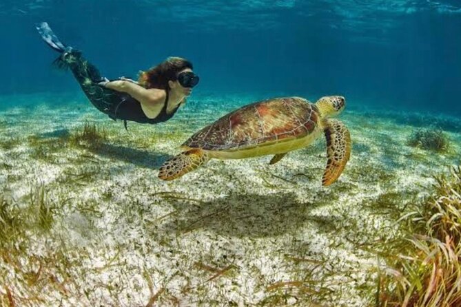 Costa Maya Reef Snorkeling Excursion Beach Day by Lachilangaloense Freeshuffle - Boat Crew and Snorkeling Experience