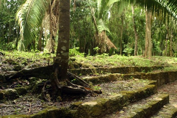 Costa Maya Shore Excursion: Chacchoben Day Trip - Tour Guides