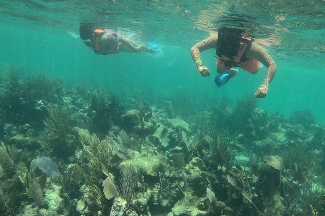 Costa Maya Snorkel Boat Tour and Beach Club Visit - Traveler Photos and Reviews