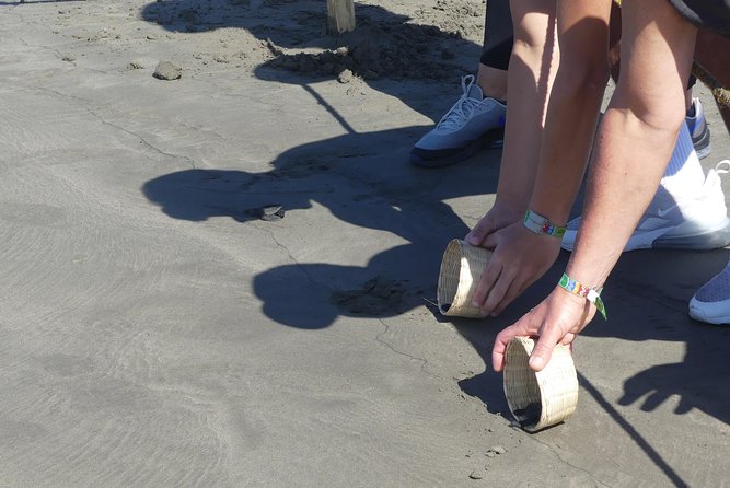 Countryside Boat Ride Beach-Horseback Ride Turtle Release - Crocs - Reviews and Questions