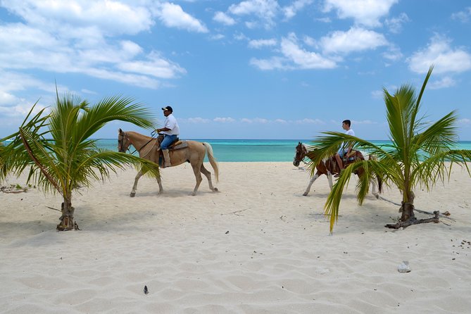 Cozumel Beach Horseback Riding Tour - Inclusions and Meeting/Pickup