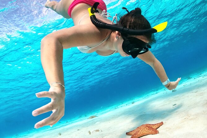 Cozumel Private Snorkeling and Charter Experience - Additional Information